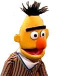 Bert